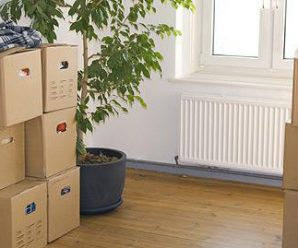 Le transport de vos plantes lors du déménagement